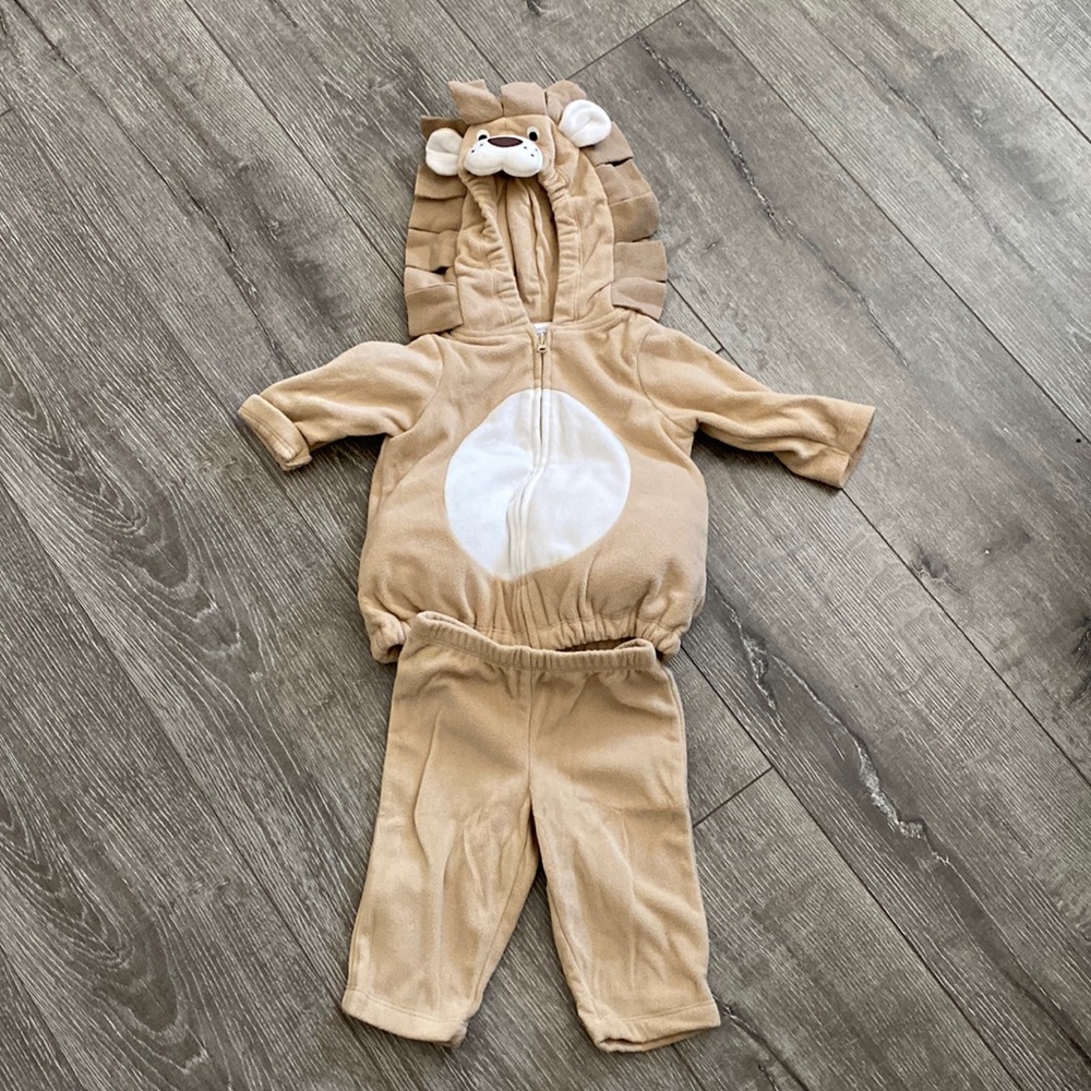 Lion costume